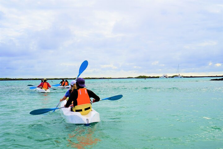 Kayak in Isabela Island 